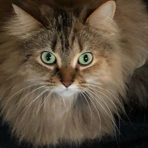 Meet your Posher, Angie